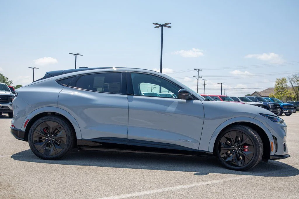 2025 Ford Mustang Mach-E GT - Photo 8