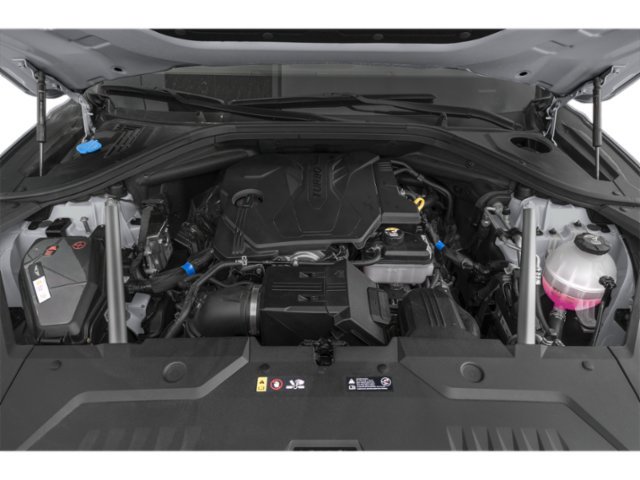 New 2026 Vik Black Genesis 2.5T image 9