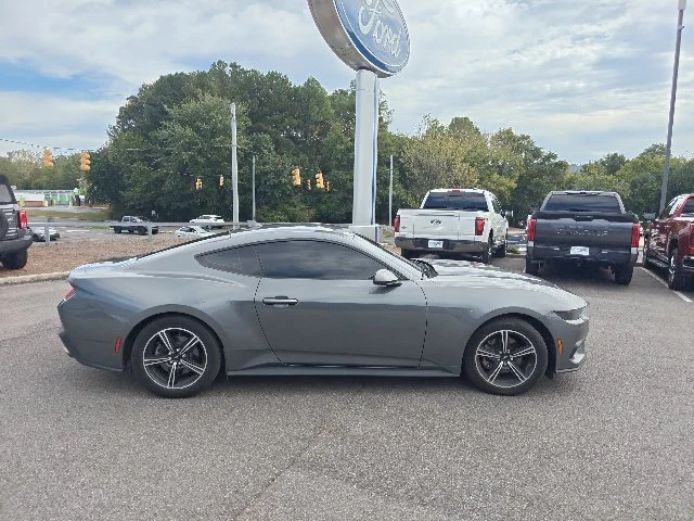 Used 2025 Gray Ford EcoBoost image 2