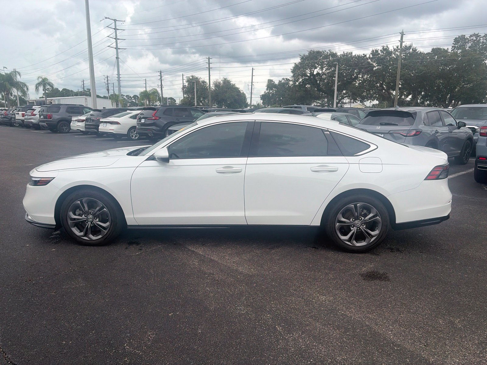 Used 2025 White Honda EX-L image 4