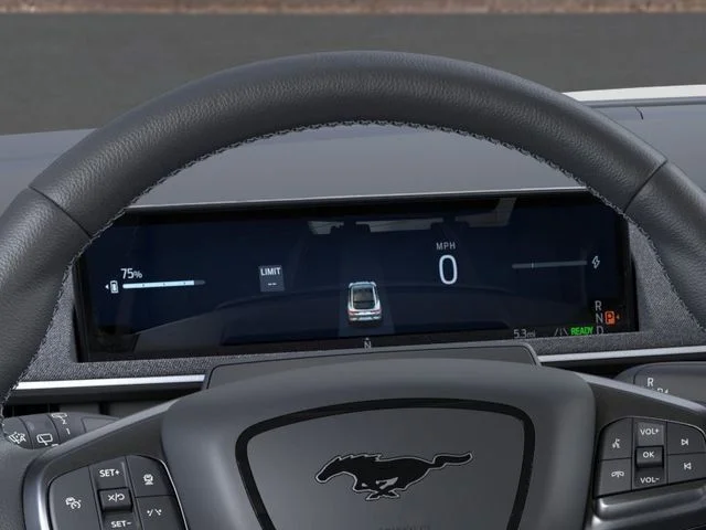 New 2025 Shadow Black Ford GT image 13