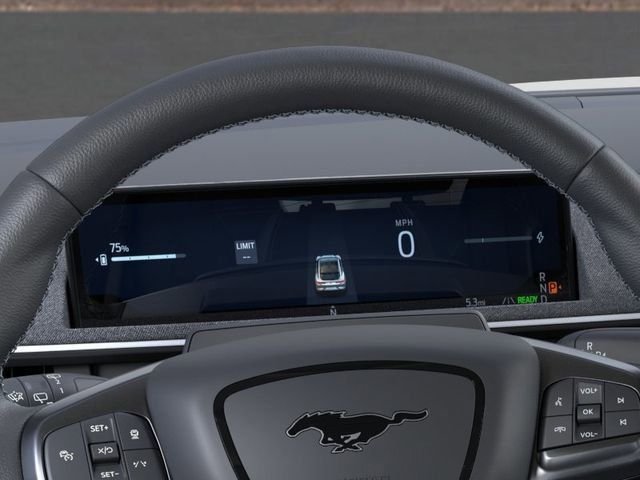 2025 Ford Mustang Mach-E GT - Photo 13