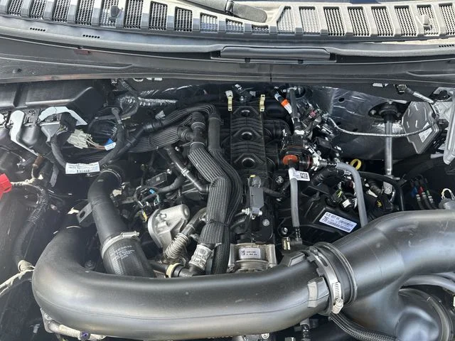 Used 2025 Black Ford Active image 28