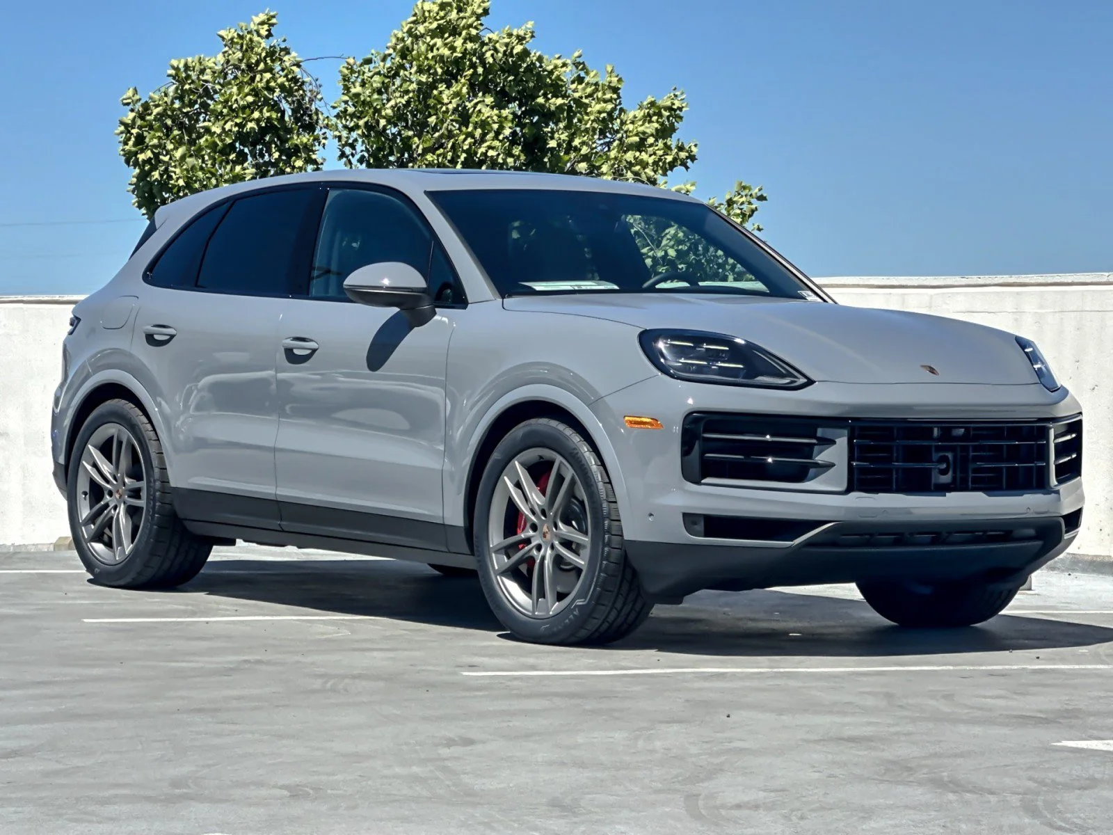 New 2026 Arctic Grey Porsche S image 10