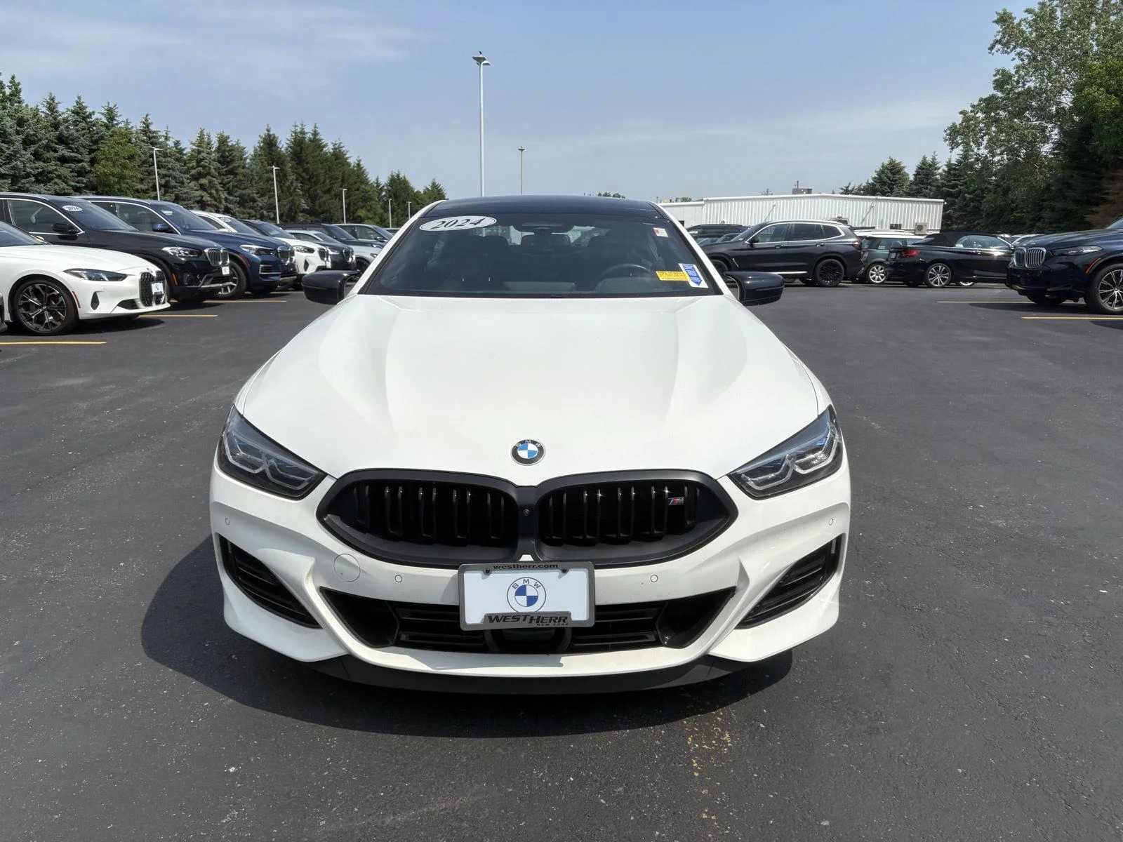 Used 2024 Alpine White BMW M850i image 3