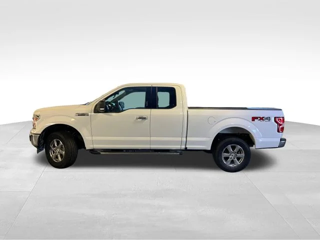 Used 2019 White Ford XLT image 3