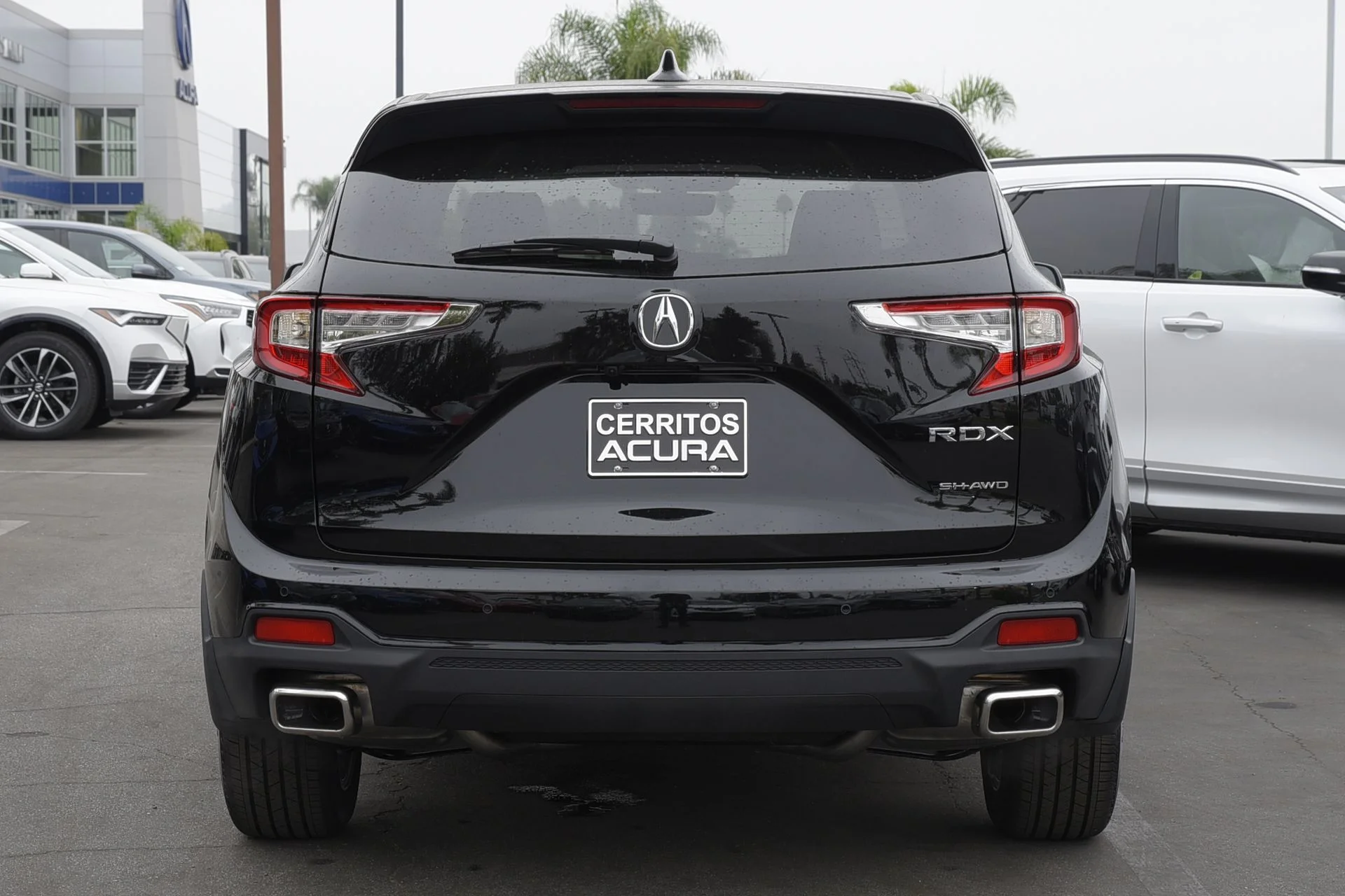 New 2026 Majestic Black Pearl Acura SH-AWD with Technology Package image 4