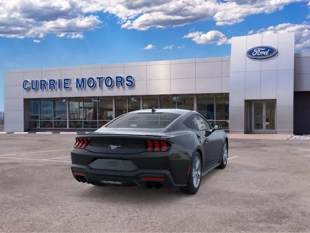 New 2026 Shadow Black Ford EcoBoost Premium image 8