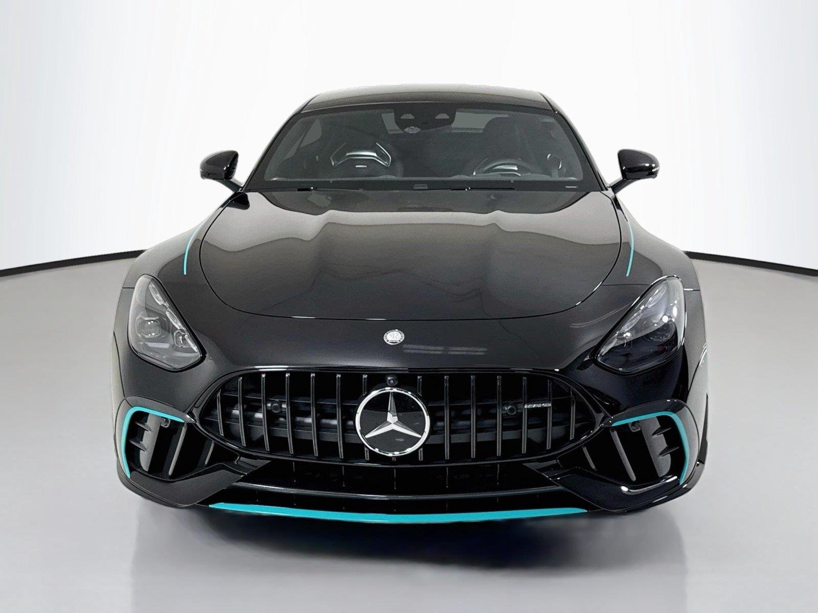 2025 Mercedes-Benz AMG GT Coupe 63 PRO - Photo 10