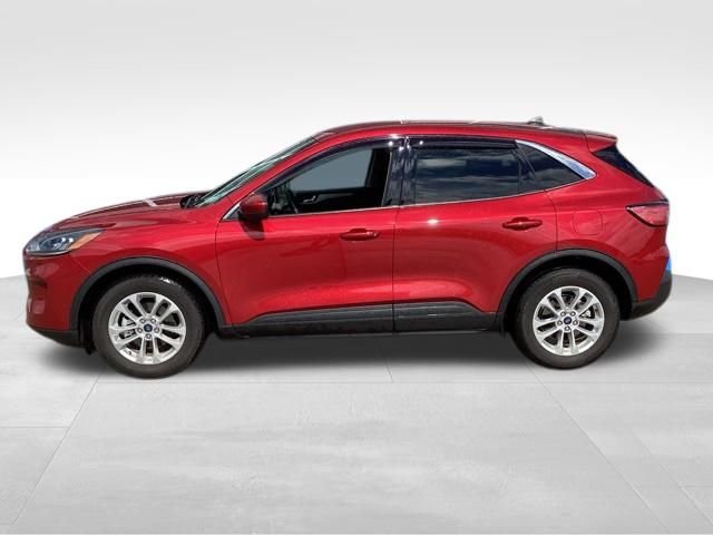 2020 Ford Escape SE FWD's photo