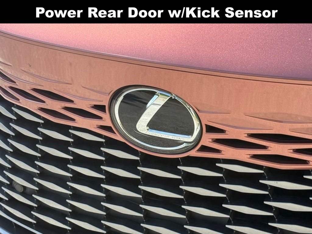 2025 Lexus RX 350 - Photo 6