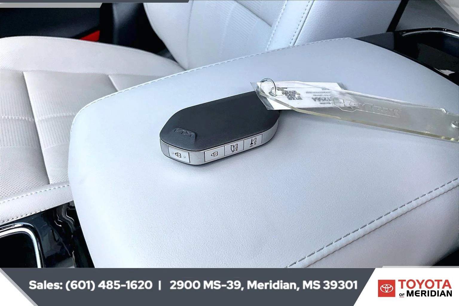 Used 2025 Panthera Metal Kia SX image 9