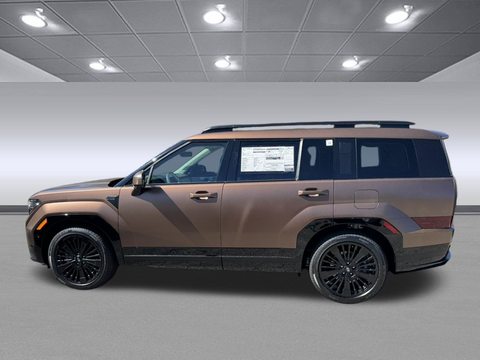 New 2026 Earthy Brass Matte Hyundai Calligraphy image 8