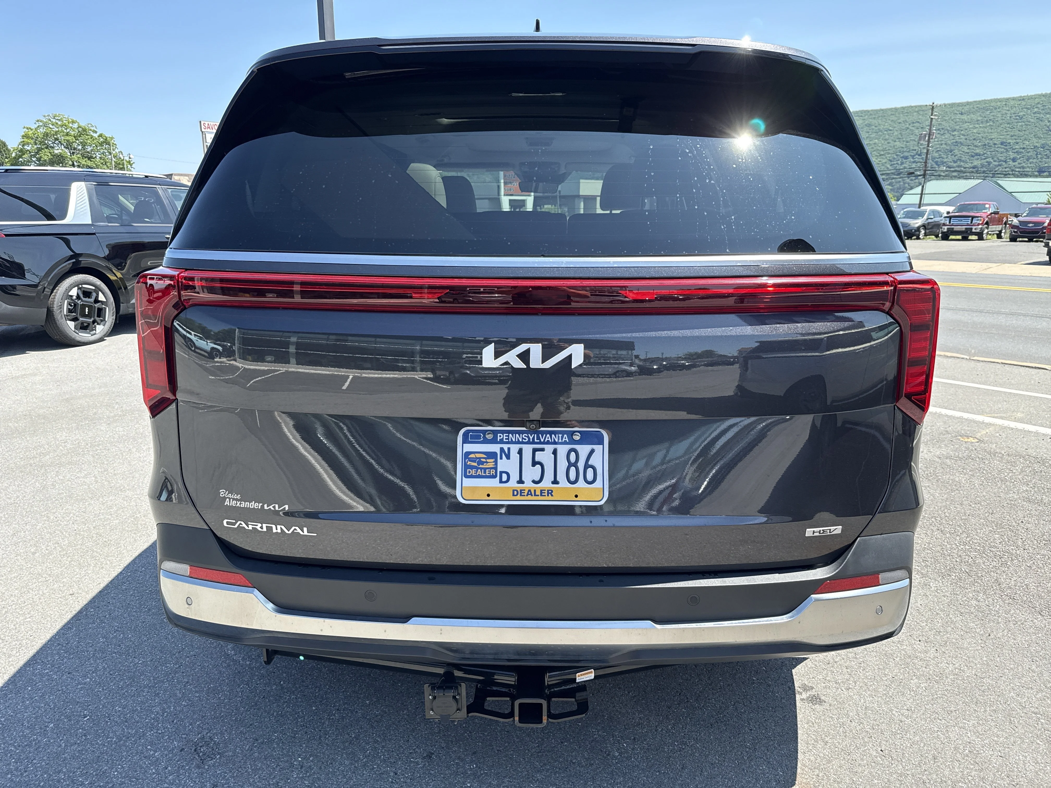 Used 2025 Panthera Metal Kia SX image 4