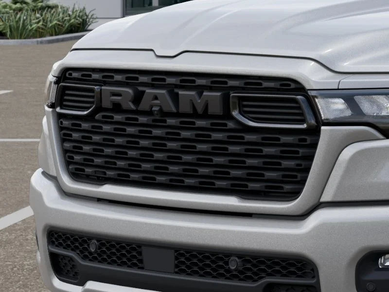 New 2026 Silver Zynith Exterior Paint RAM Express image 11