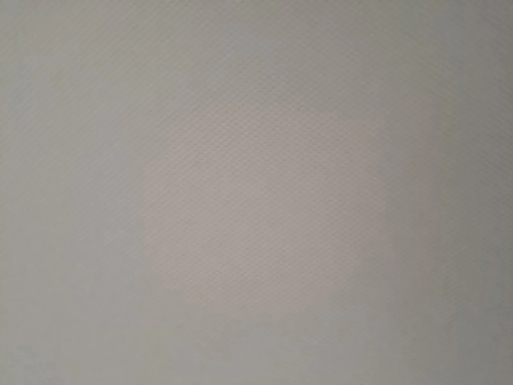 New 2026 White Nissan Platinum image 22