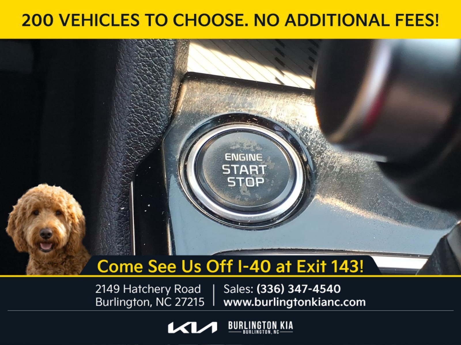 Certified Used 2024 Ebony Black Kia EX image 12