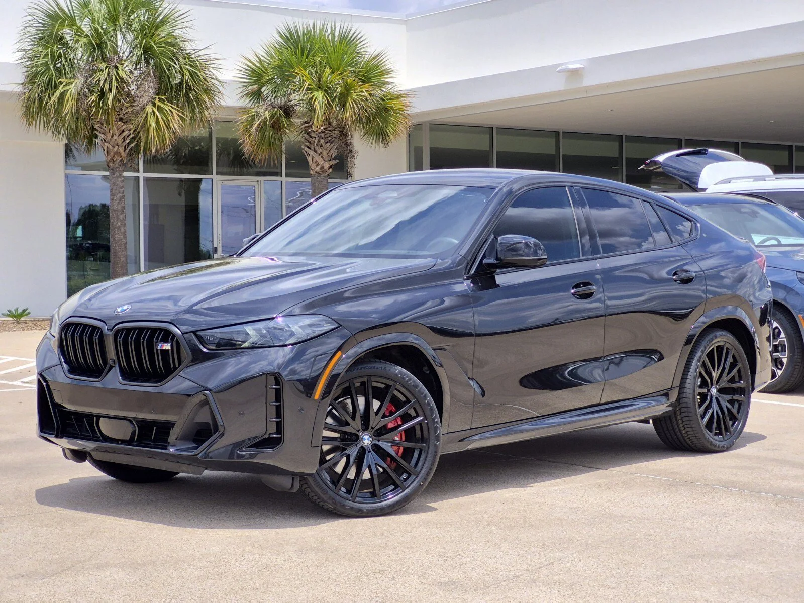 2025 BMW X6 M60i's photo