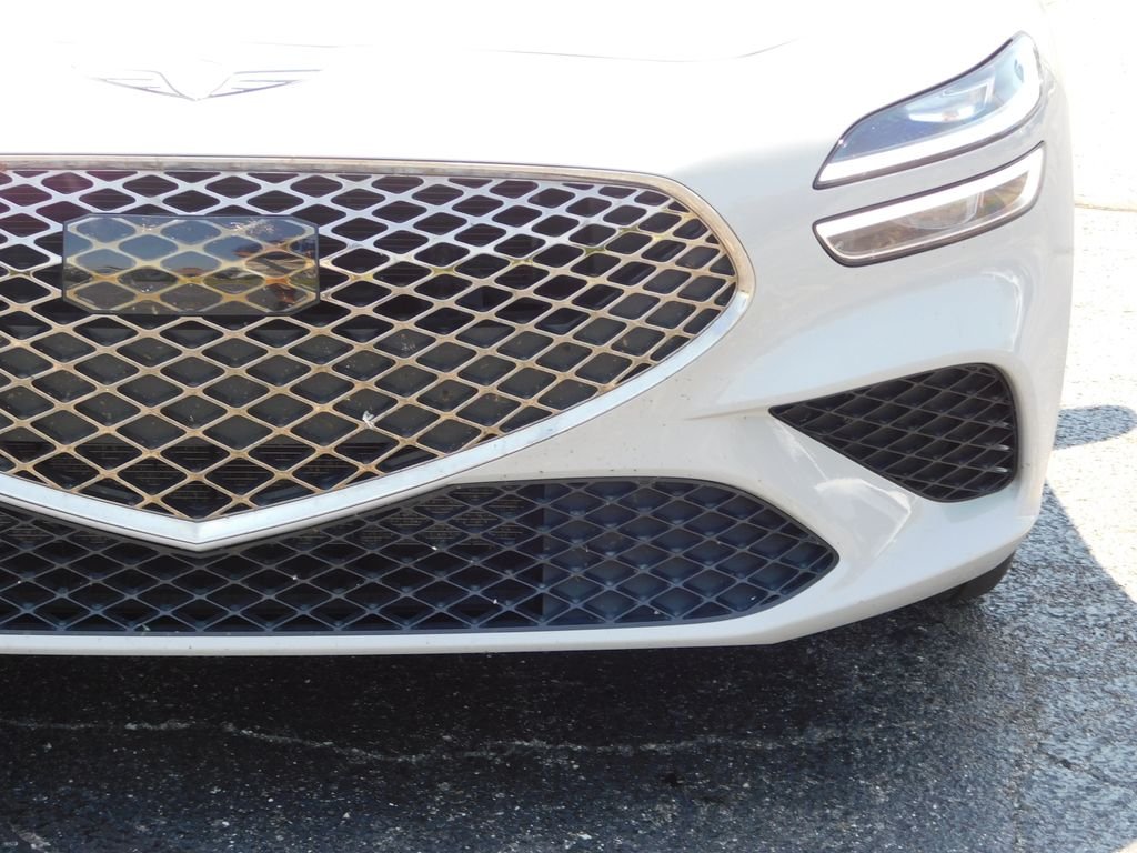 Used 2025 Gray Genesis 2.5T image 9