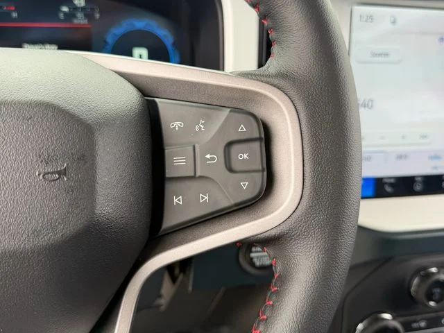 New 2026 Marsh Gray Ford Heritage Edition image 13