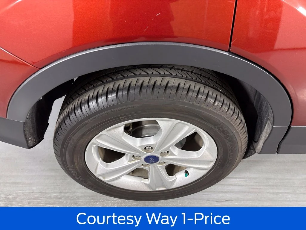 Used 2014 Orange Ford S image 13