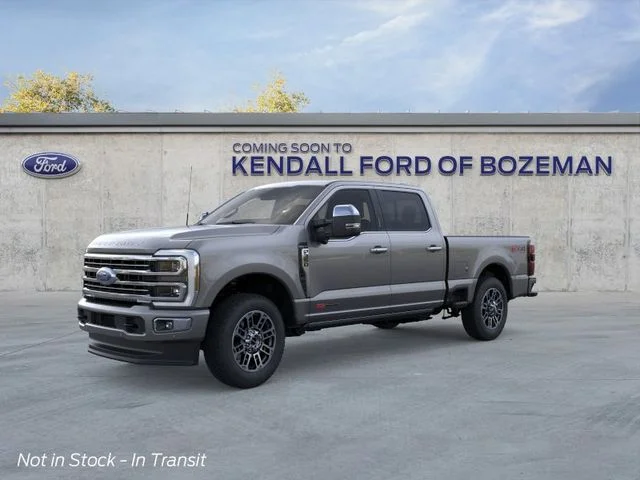 New 2026 Gray Ford  image 1