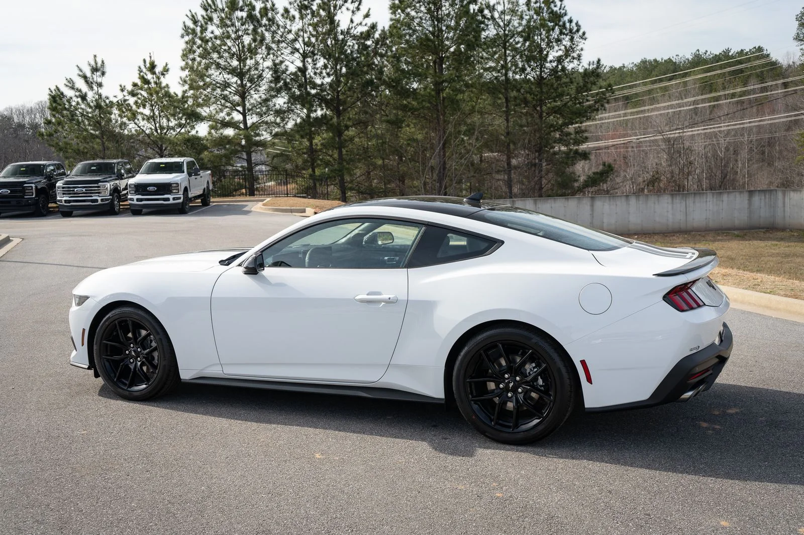 New 2026 Oxford White Ford EcoBoost® Fastback image 7