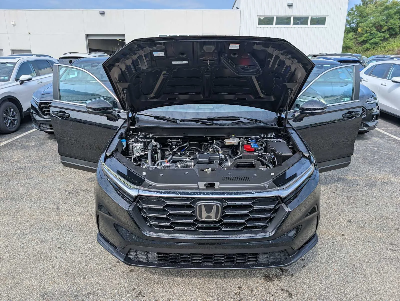 New 2026 Crystal Black Pearl Honda LX image 10