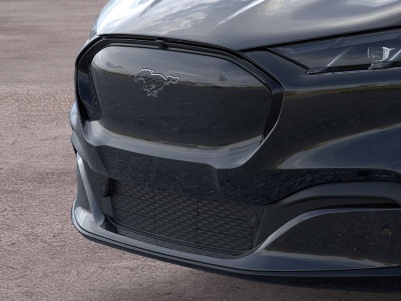 New 2025 Shadow Black Ford Premium image 17