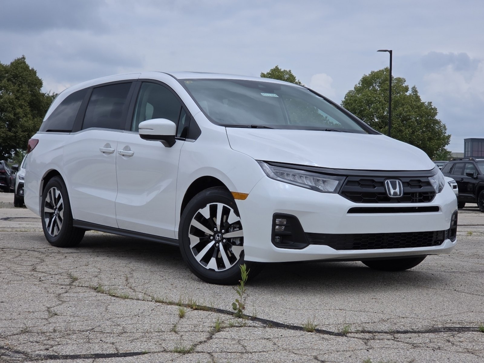 New 2026 Platinum White Pearl Honda EX-L image 2