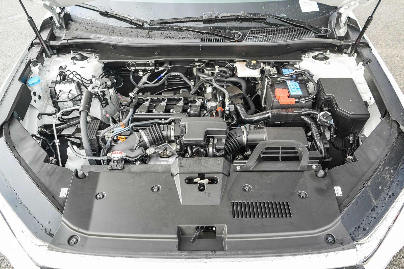 New 2027 Platinum White Pearl Honda LX image 13
