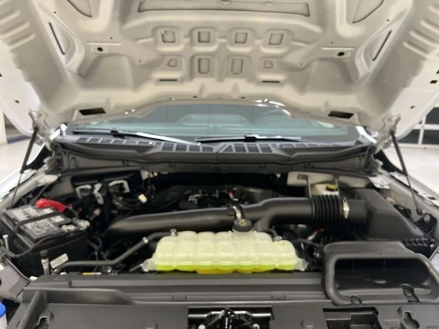 New 2026 White Ford XLT image 24