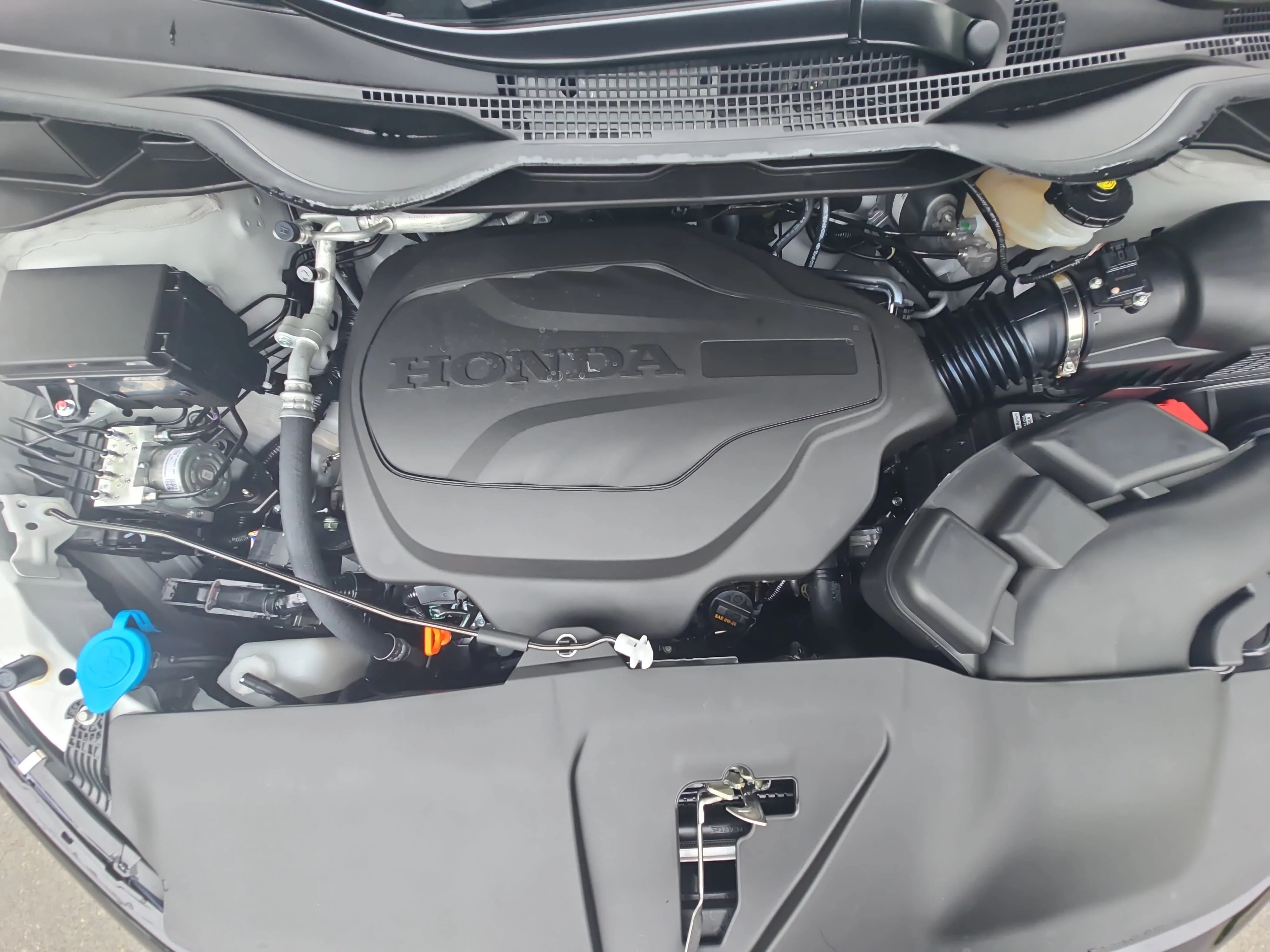 New 2026 Platinum White Pearl Honda Sport-L image 31