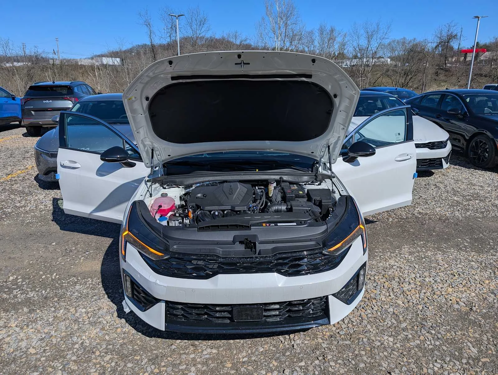New 2026 Snow White Pearl Kia GT-Line image 9