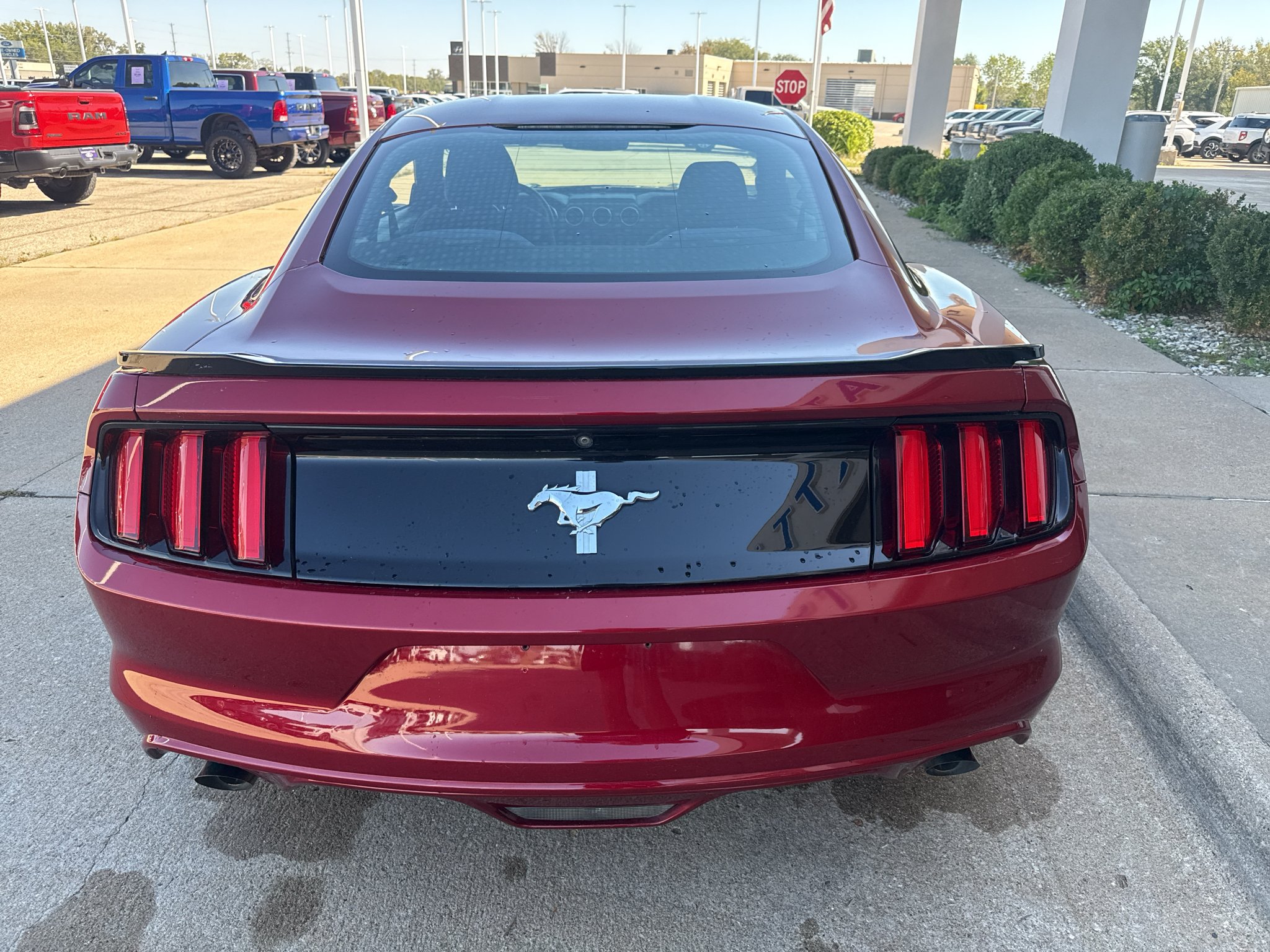 Used 2017 Race Red Ford V6 image 7