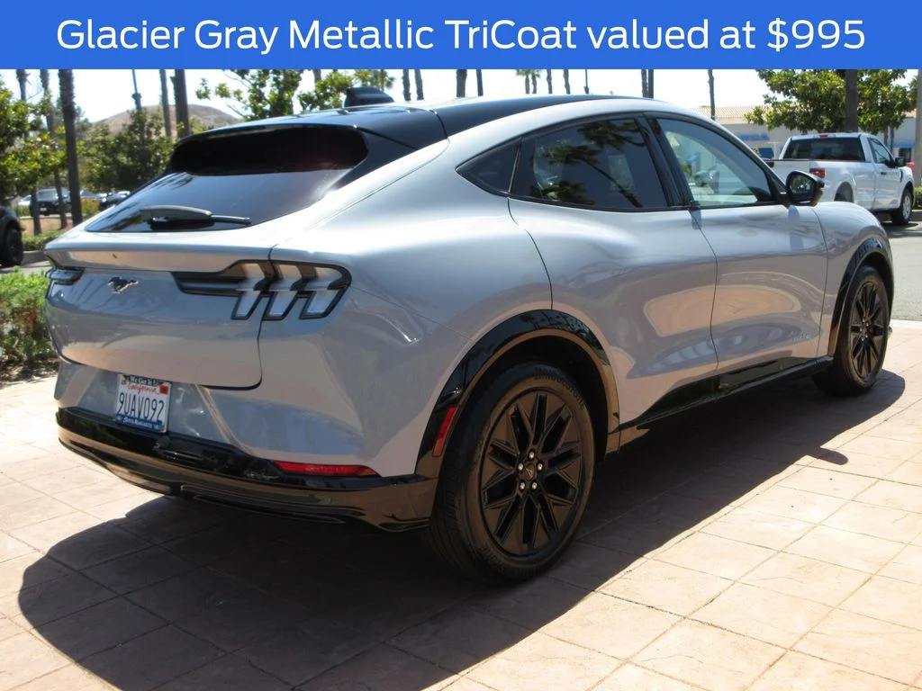 Certified Used 2025 Gray Metallic Ford Premium image 4