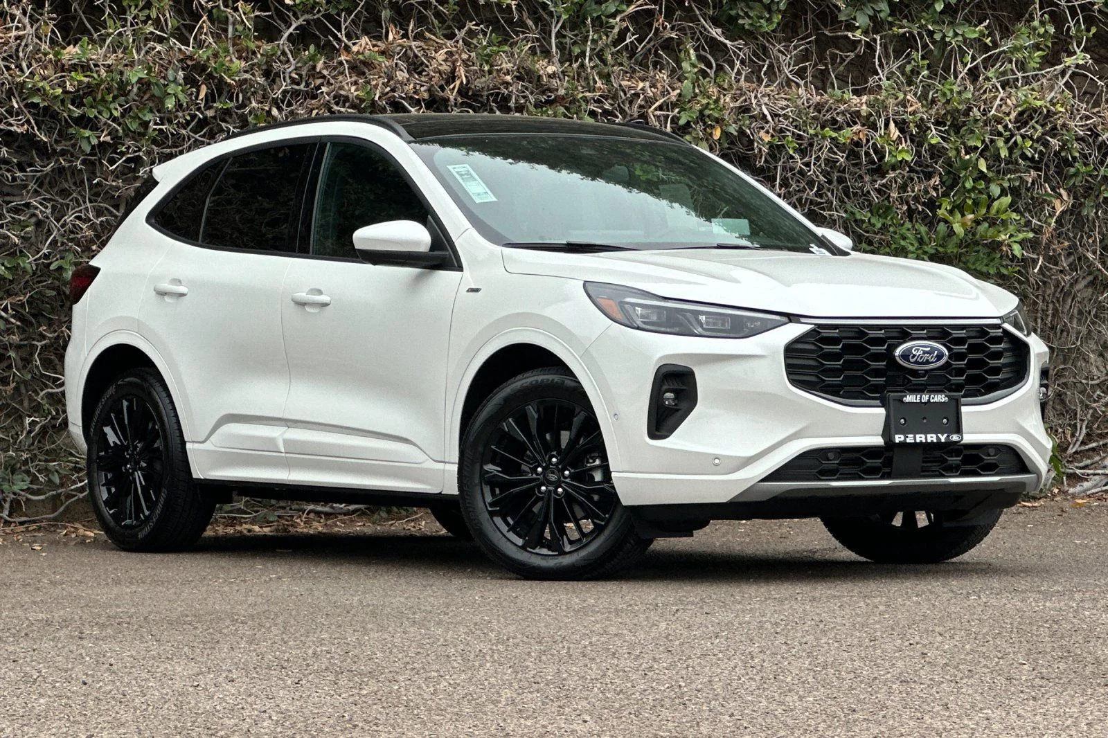 2024 Ford Escape ST-Line Elite AWD 2.0L's photo