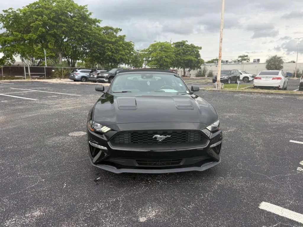 Used 2023 Black Ford EcoBoost Premium Convertible image 3