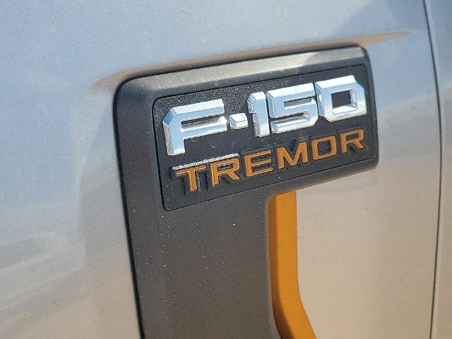 New 2026 Iconic Silver Metallic Ford Tremor® image 39