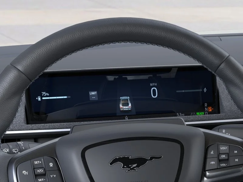New 2026 Shadow Black Ford GT image 13