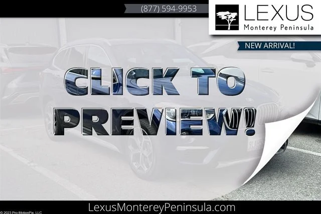 2019 BMW X1 sDrive28i's photo