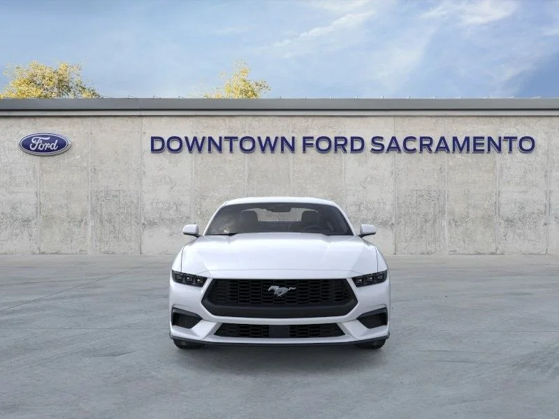New 2026 White Ford EcoBoost image 7