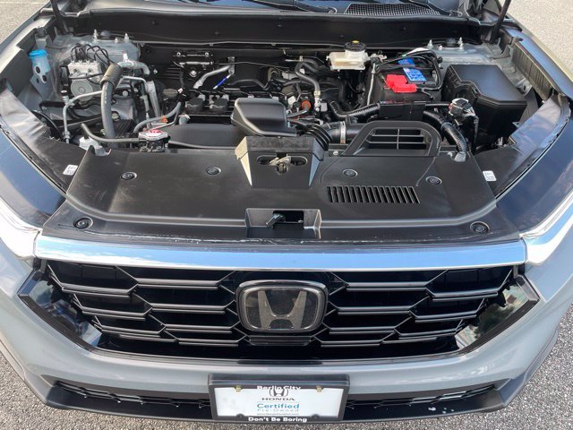 Used 2024 Urban Gray Honda EX image 9