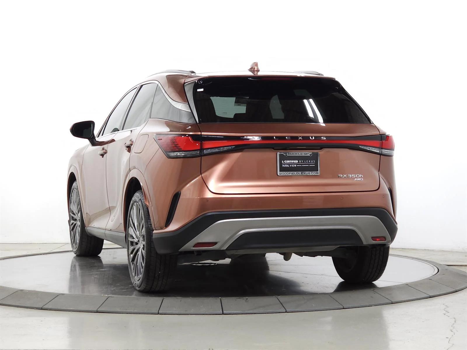 2023 Lexus RX Hybrid 350h - Photo 6