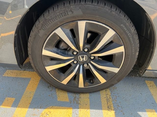 Used 2024 Gray Honda EX-L image 9