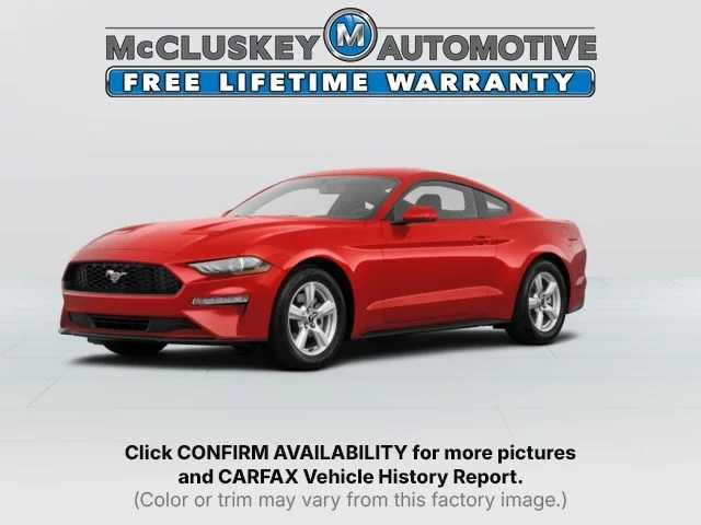 Used 2019 Red Ford EcoBoost Premium image 1