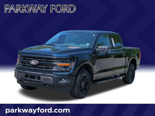 Used 2024 Blue Ford XLT image 1