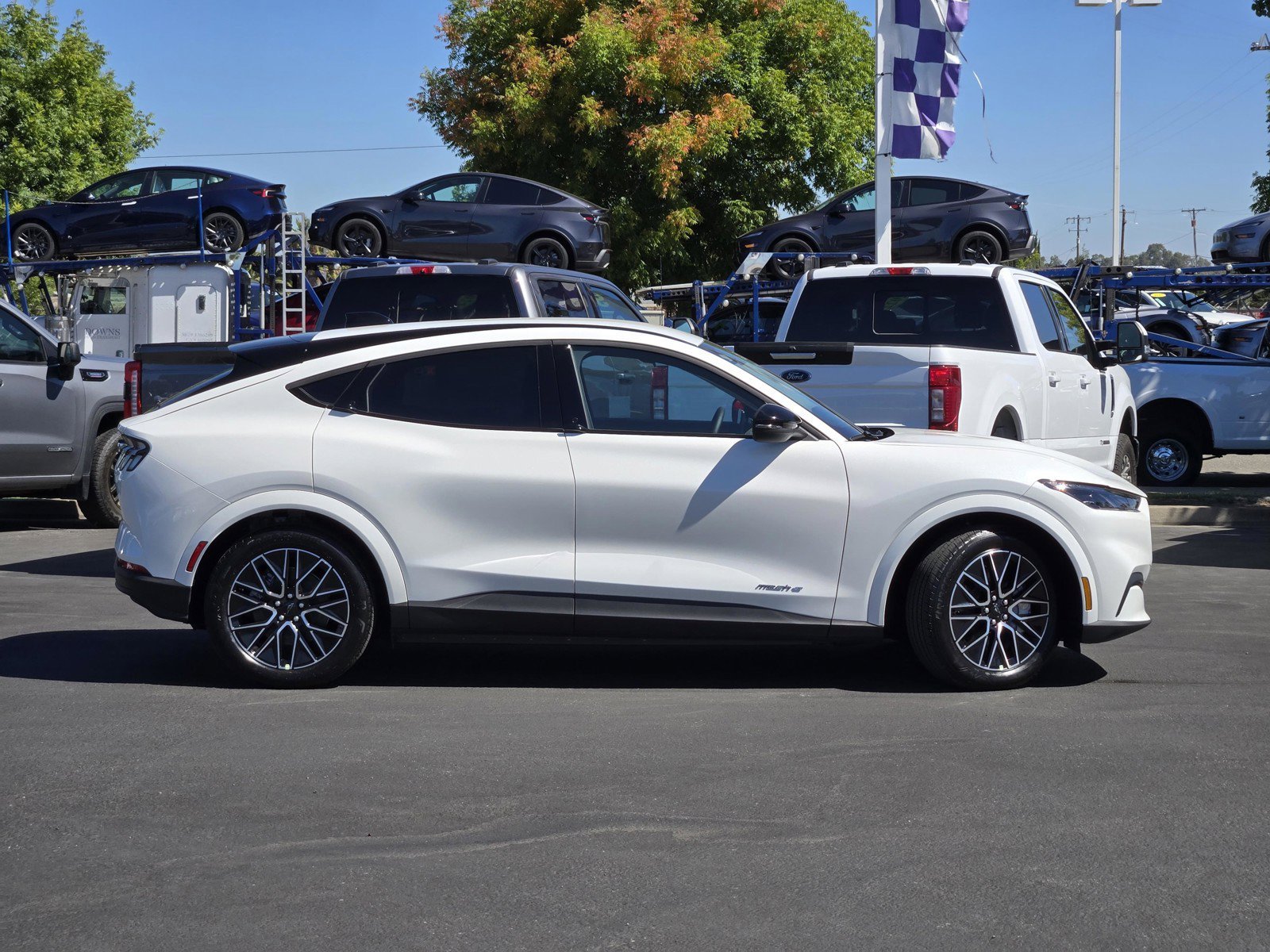 New 2026 Star White Metallic Tri-coat Ford Premium image 3