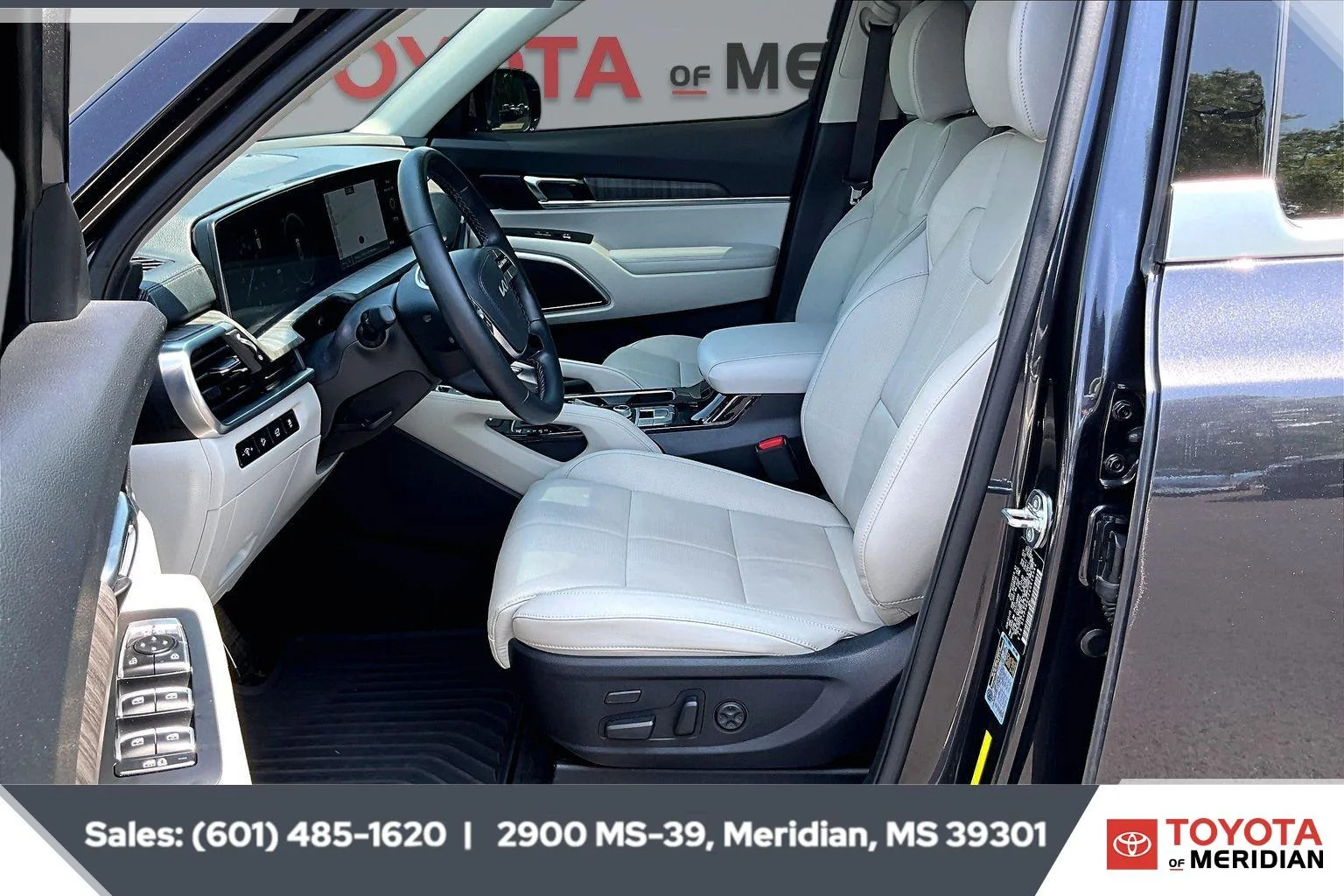 Used 2025 Panthera Metal Kia SX image 18