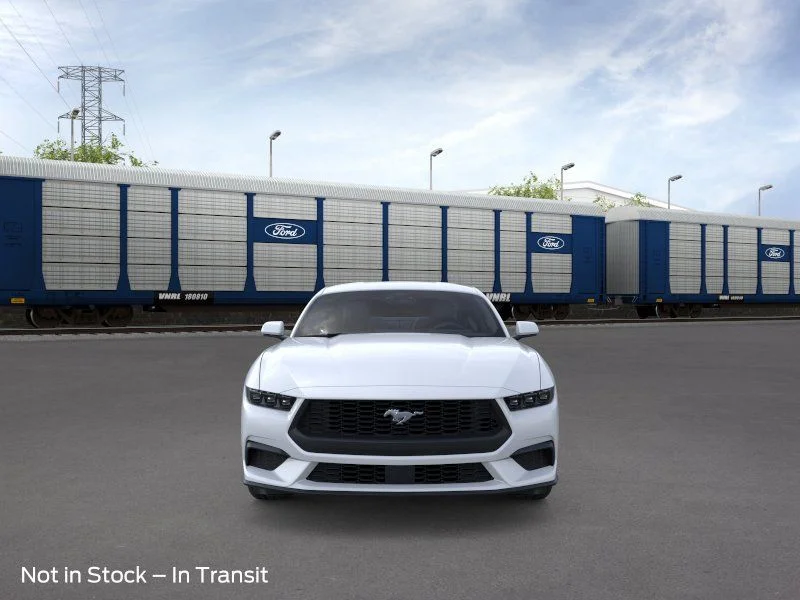 New 2026 Oxford White Ford EcoBoost image 7